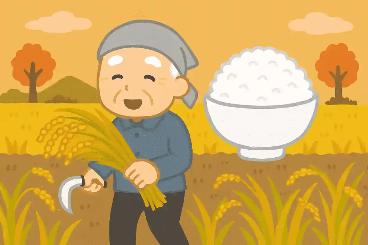 おいしい新米が収穫される秋。日本で一番多く生産されているお米の品種はなにでしょうか？