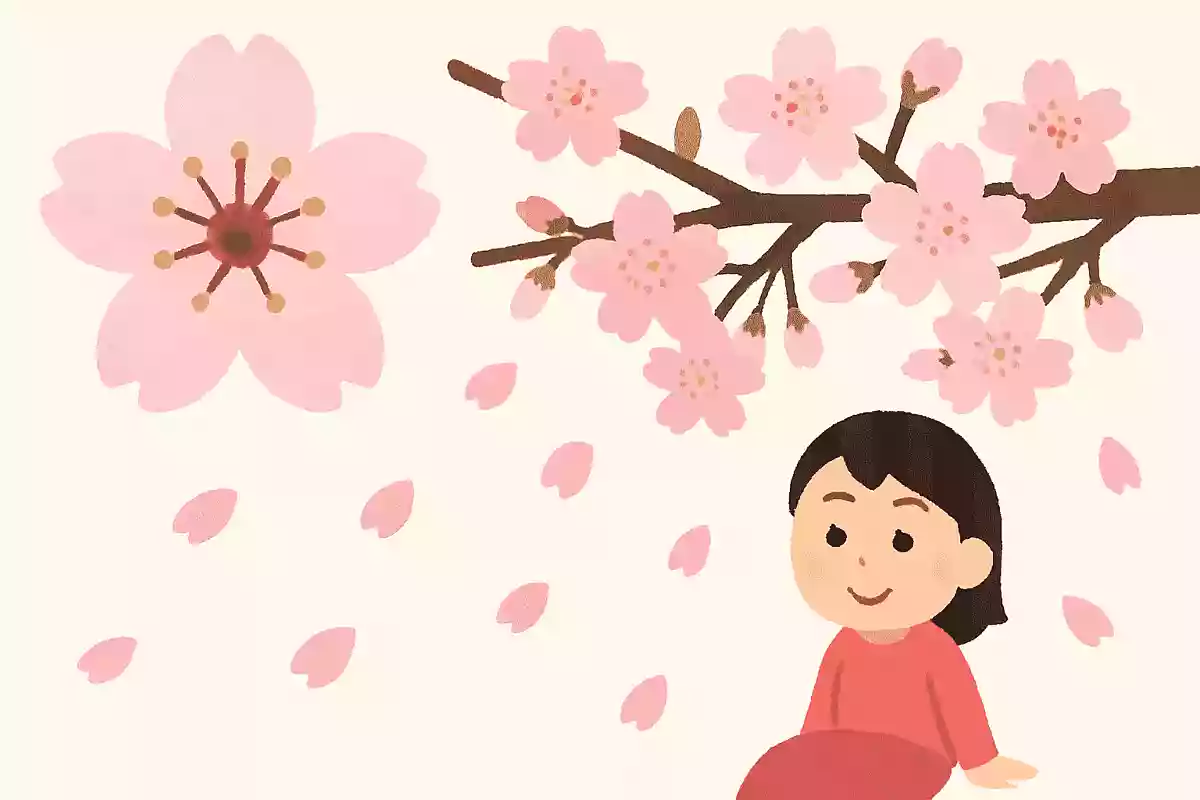桜の花の中心が赤くなると散るサイン