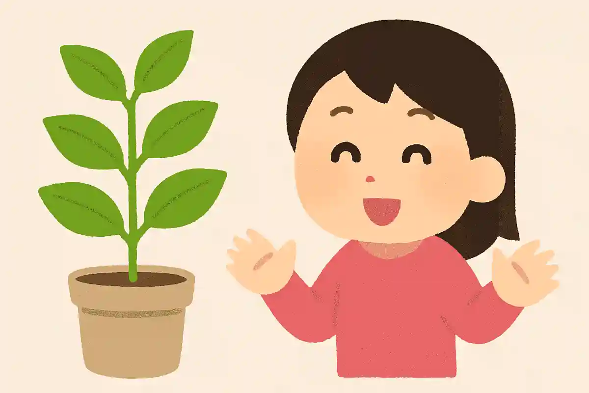 植物にも人間と同じようにあるものはなんでしょう？