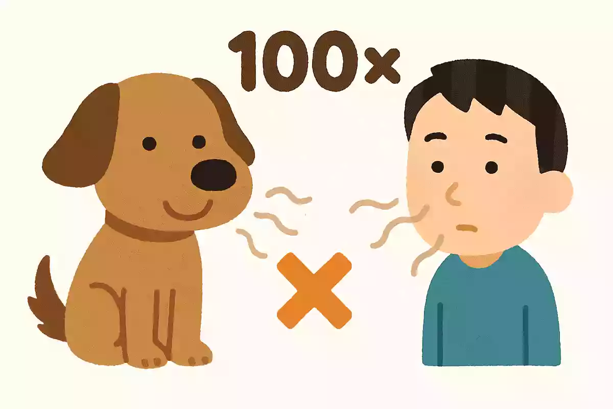 犬の嗅覚は人間の何倍?