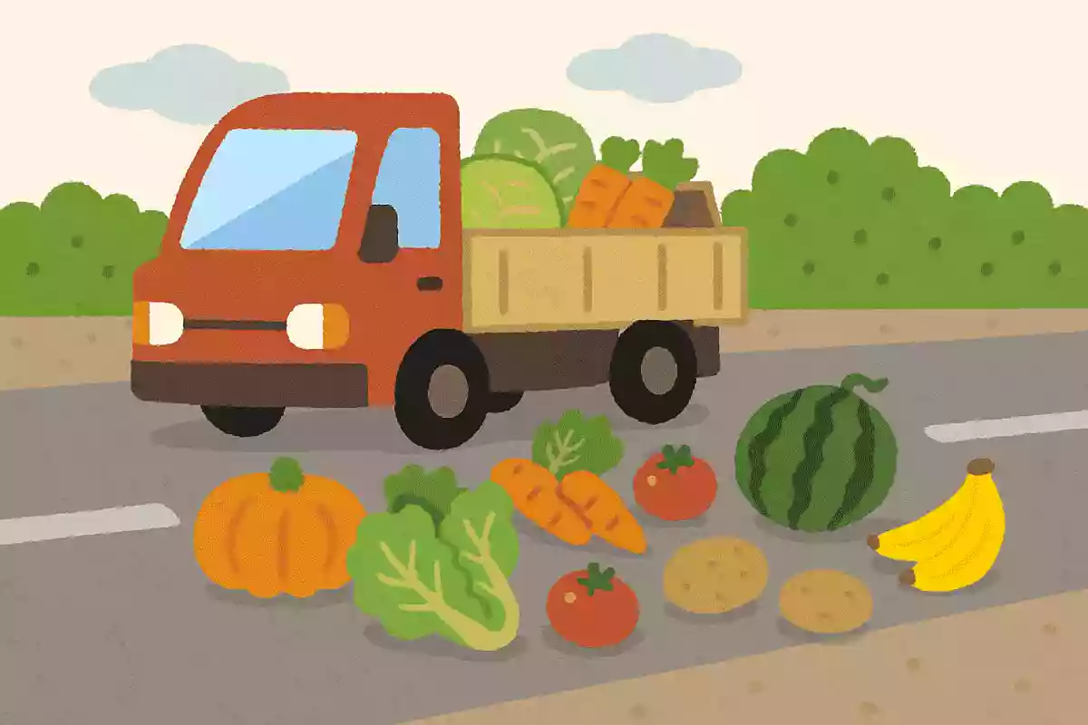 野菜や果物などの荷物を乗せたトラックが道で落としたものは何でしょうか?