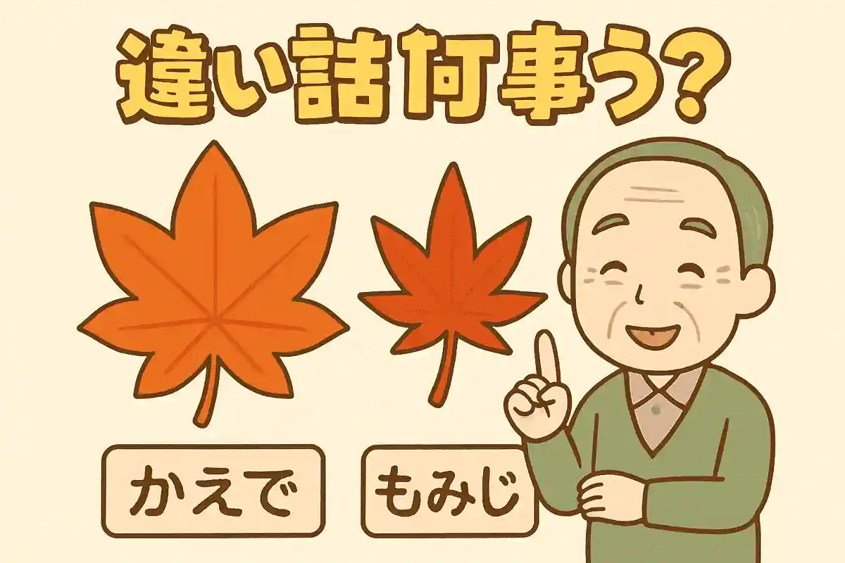似た形で秋を彩る「もみじ」と「かえで」ですが、違いは何でしょうか?