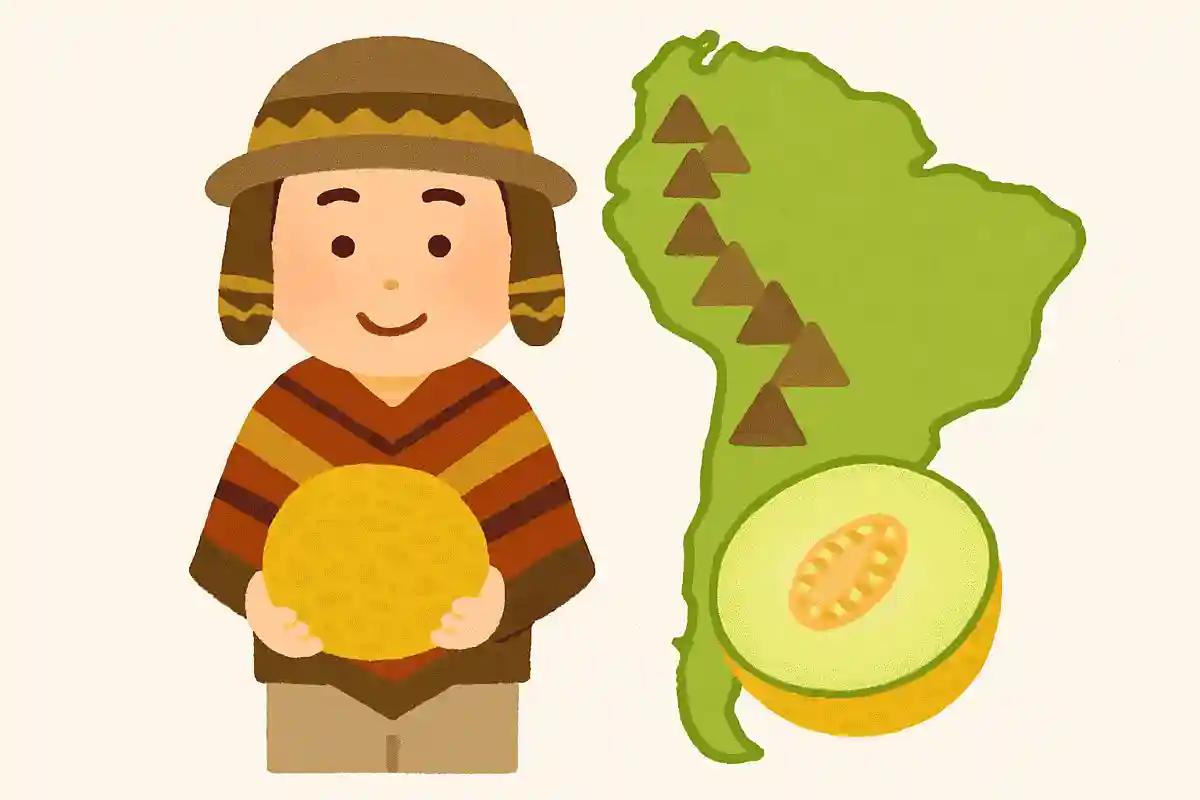 5月に旬を迎えるメロンの品種で「アンデスメロン」の由来はなんでしょうか？