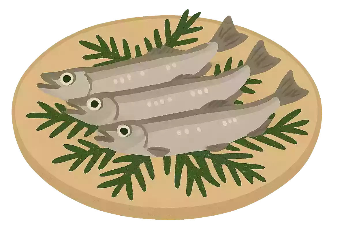 柳葉魚（ししゃも）