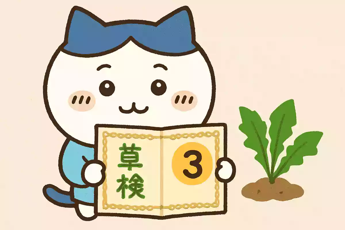 【一般問題】有名アニメの知識・クイズ問題