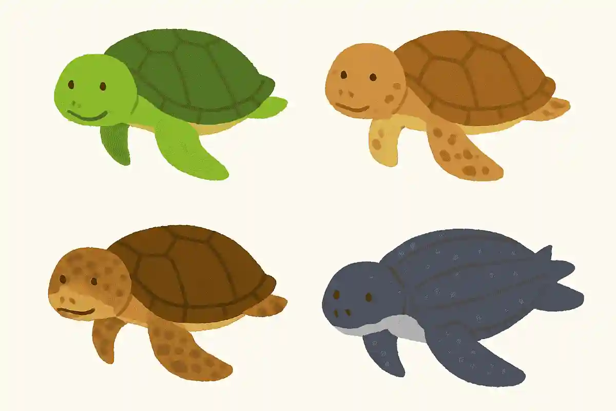次の中で実在するウミガメはどれでしょうか