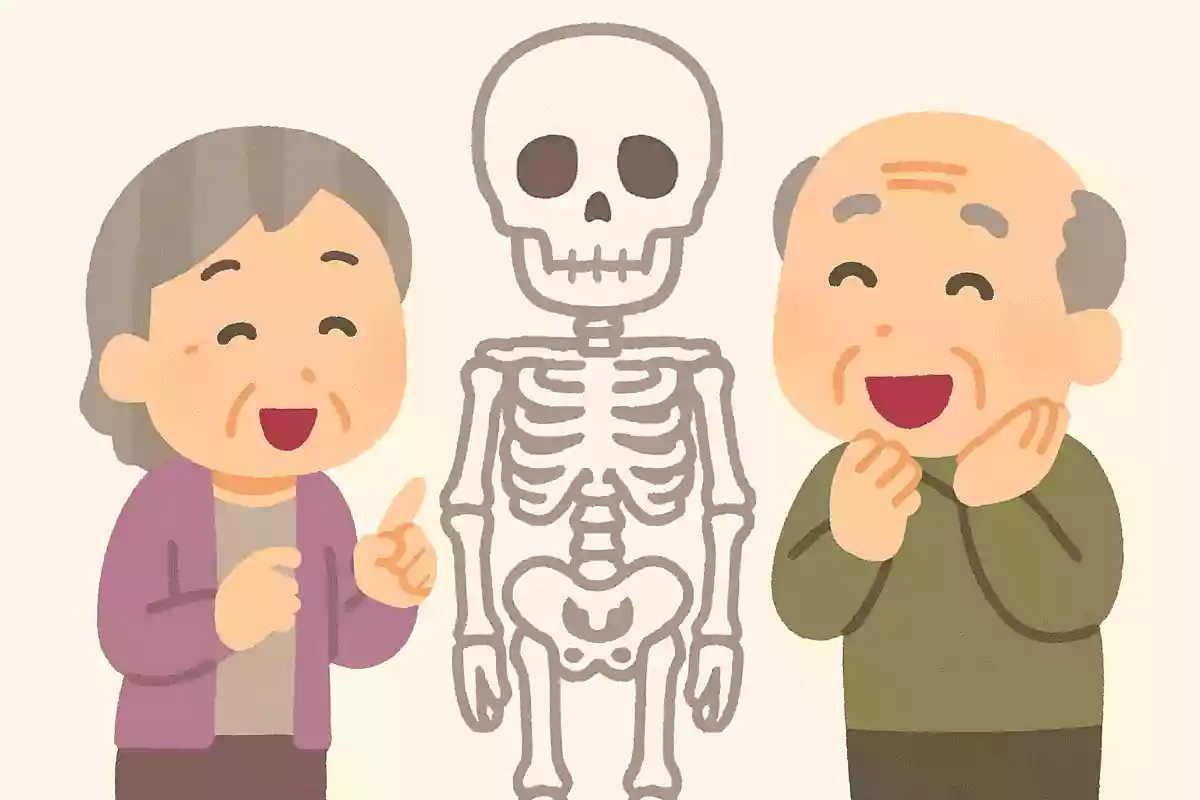 人間の骨は成長とともに、数が変わります。一番、骨の数が多いのはいつでしょうか？