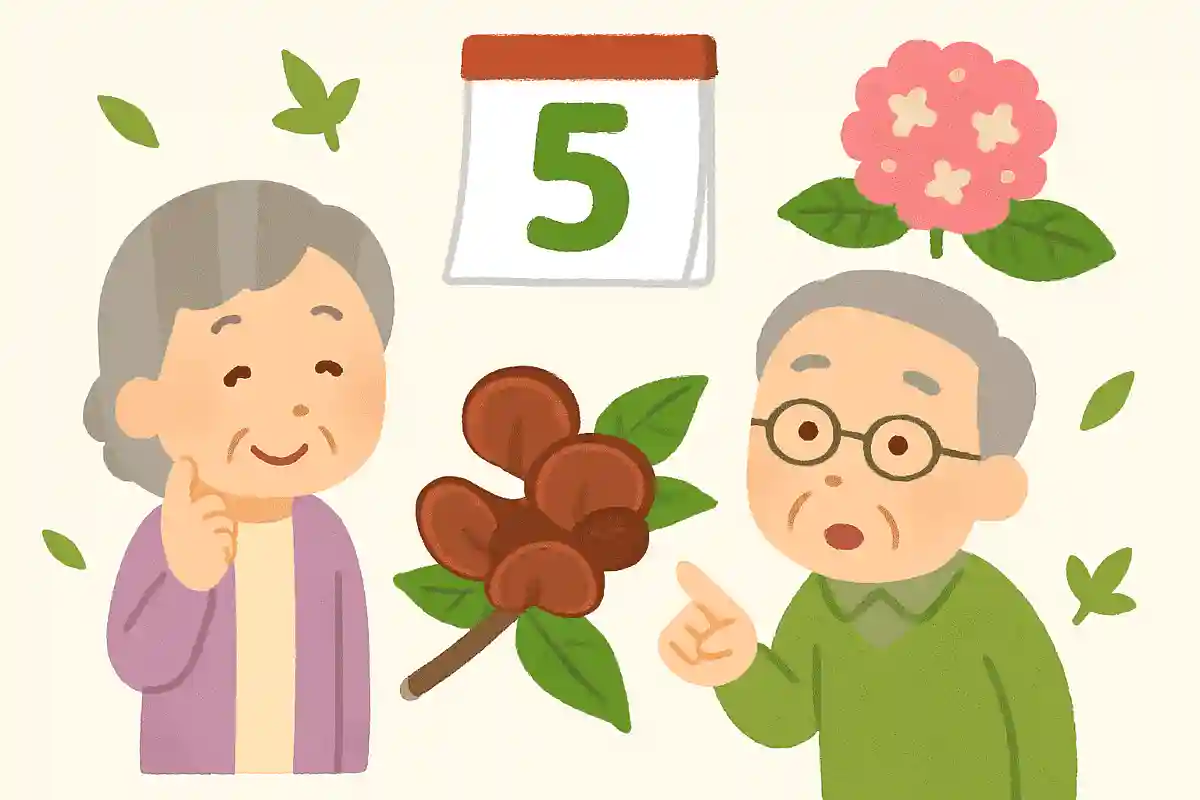5月が旬のきくらげはくらげではなく、きのこの仲間