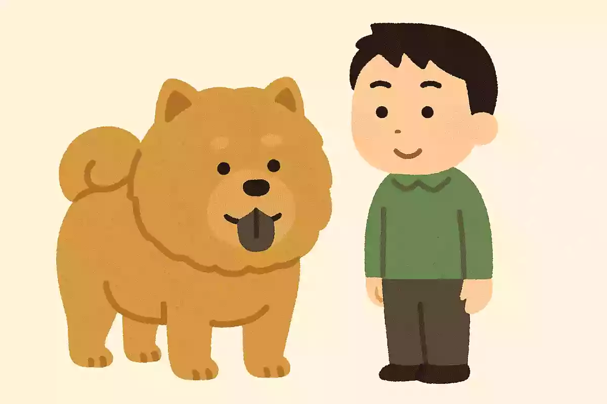 あれチャウチャウちゃう?ちゃうちゃう!チャウチャウちゃうんちゃうん?