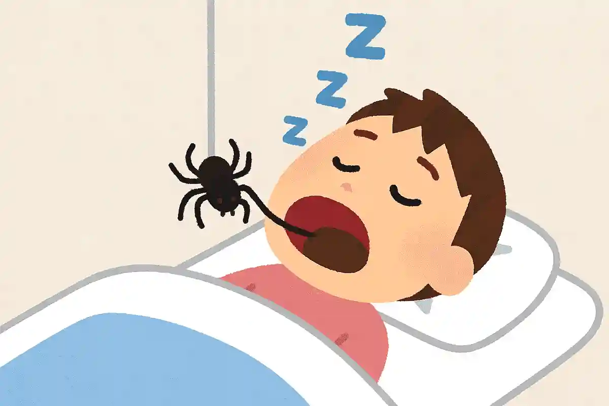 寝ている間にクモを食べてしまっていることがある