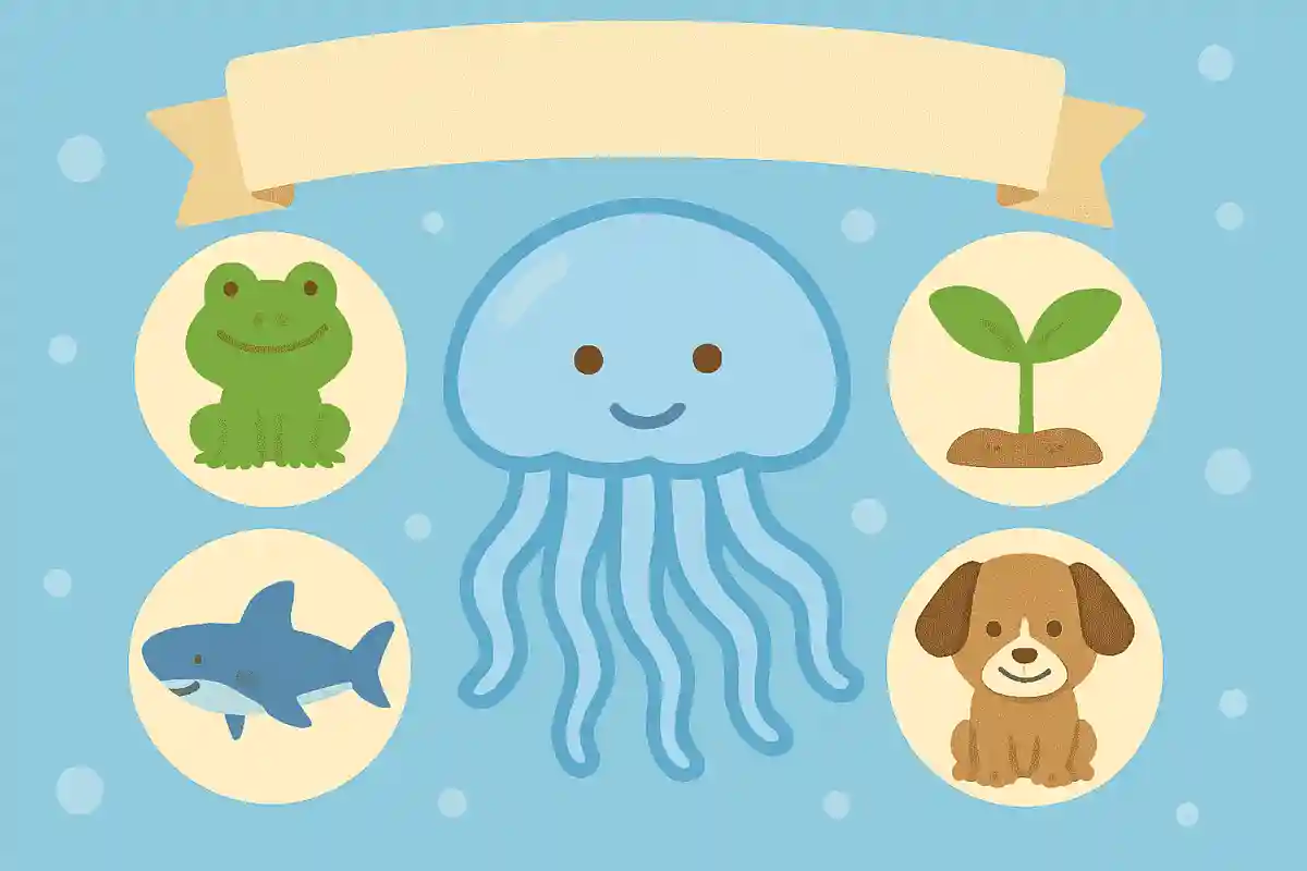 クラゲは何に分類される？