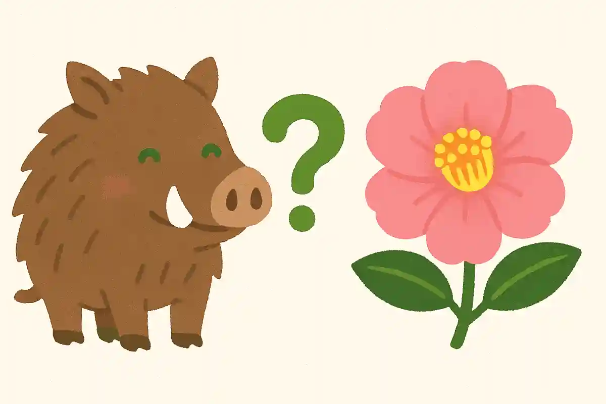 いのししの肉は別名でなんの花の名前で呼ばれている?