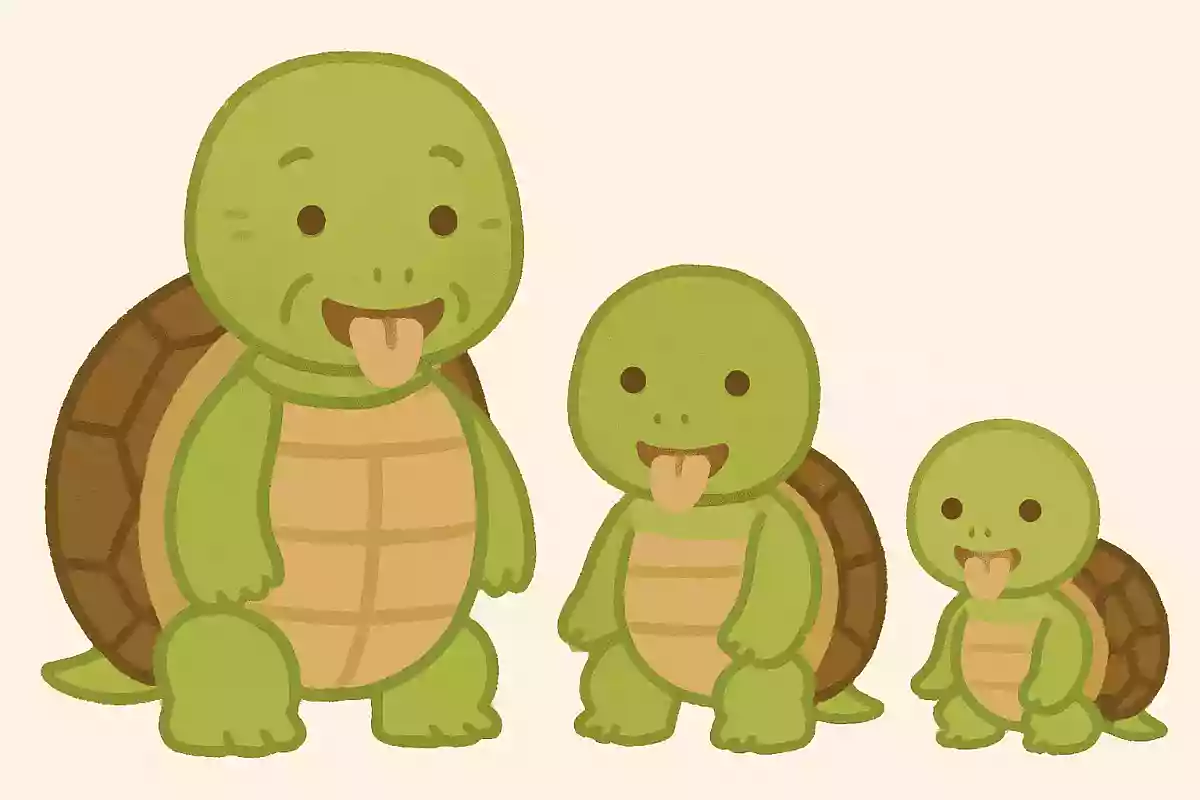 親亀、子亀、孫亀