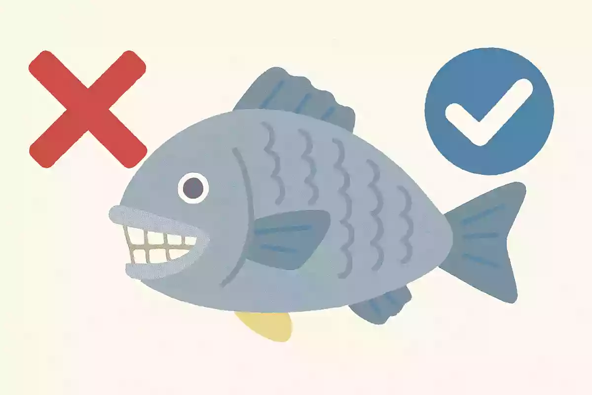 魚には歯がある。◯か☓か?