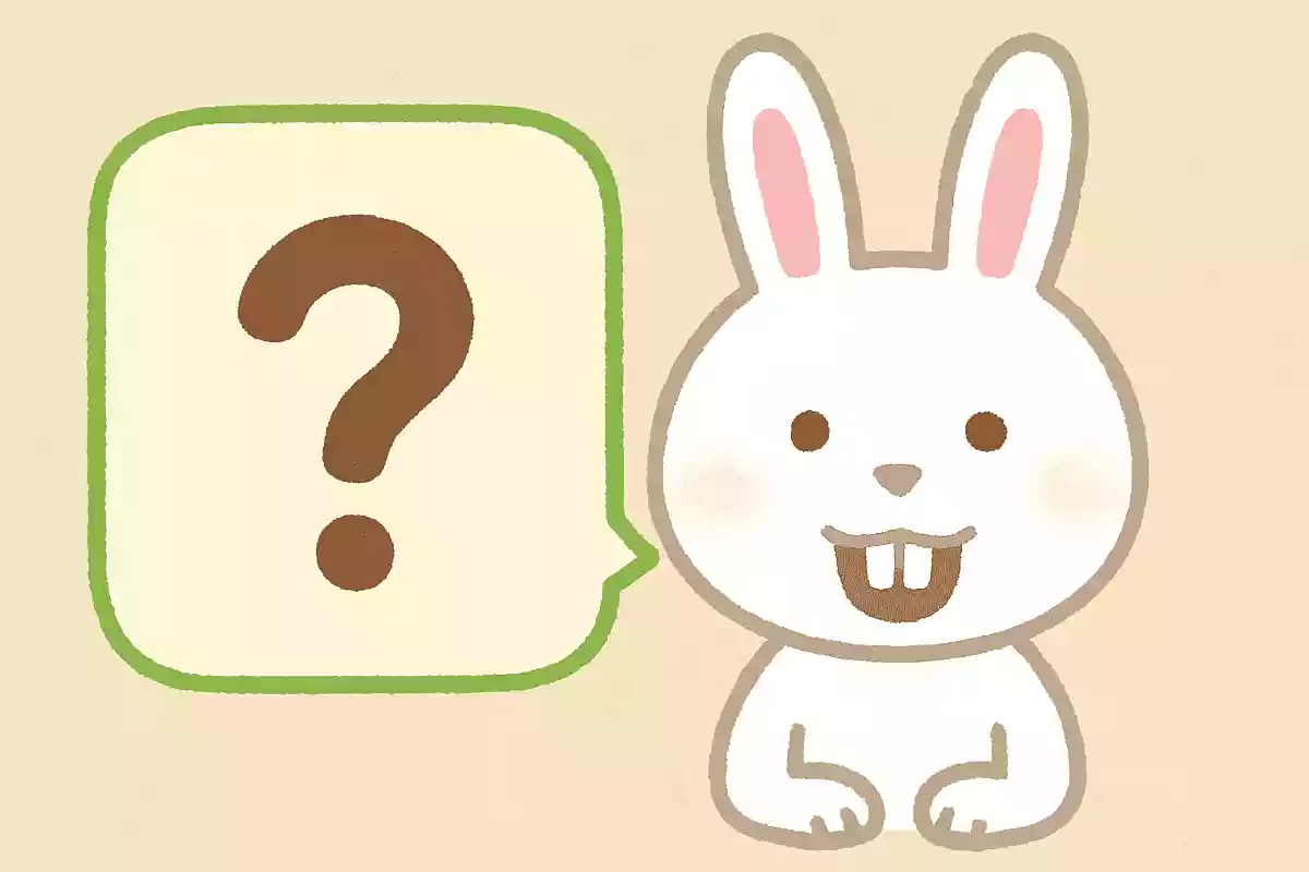 ウサギの歯は何本ある?