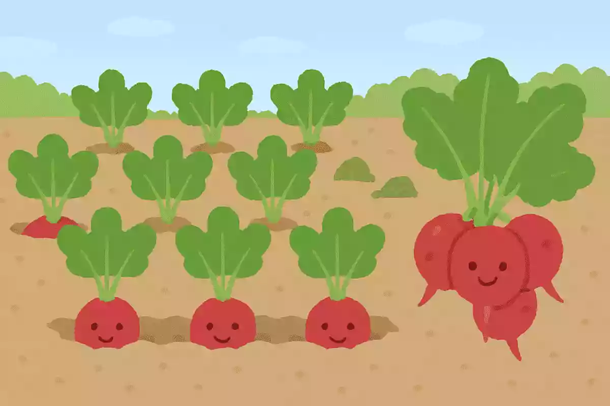 畑に大根が10本あり、4本抜いたらあとはいくつ?