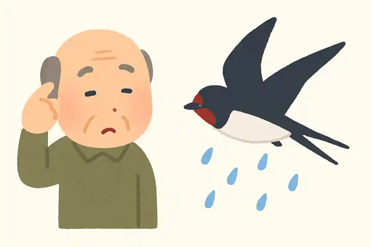 ある鳥が低く飛んでいると、雨になると言われています。ある鳥とは何でしょうか?
