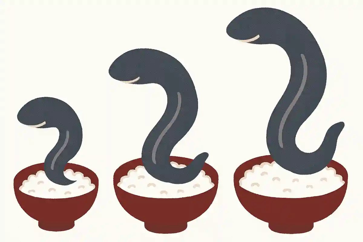 ウナギの「並」「上」「特上」の違いはウナギの質である