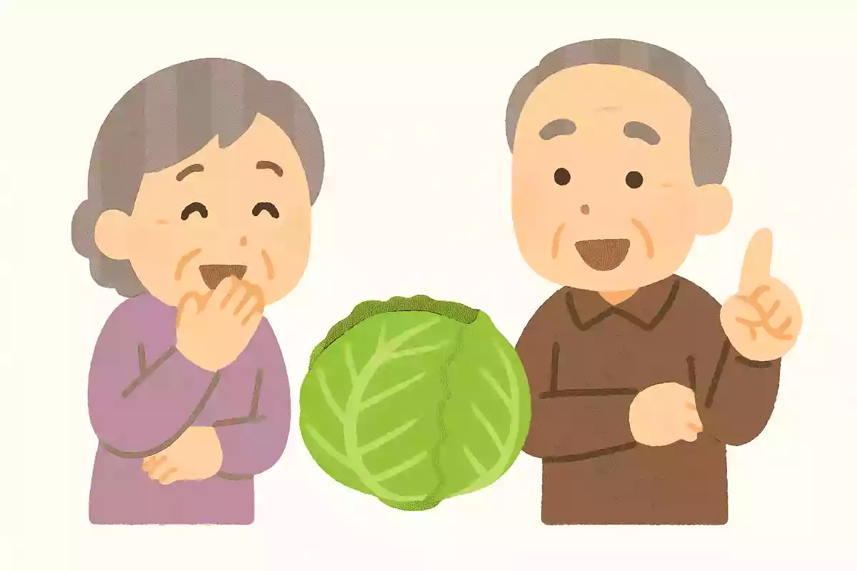 シュークリームのシューは、フランス語である野菜を意味します。何の野菜でしょうか？