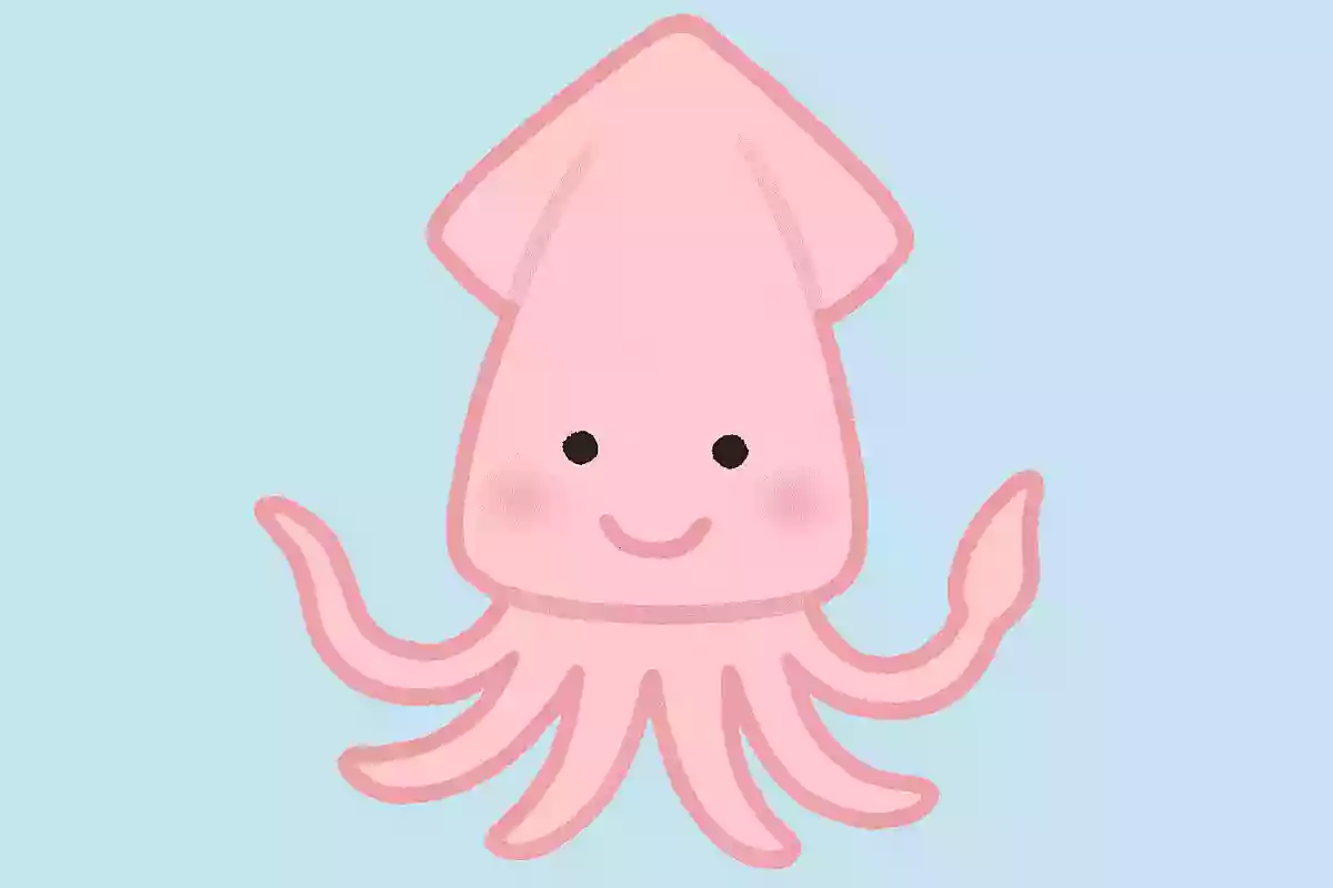烏賊