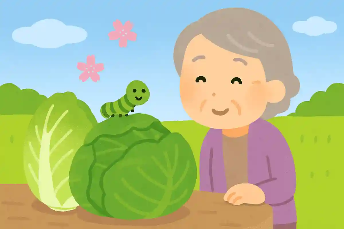 青虫はキャベツは食べるが、レタスは食べない