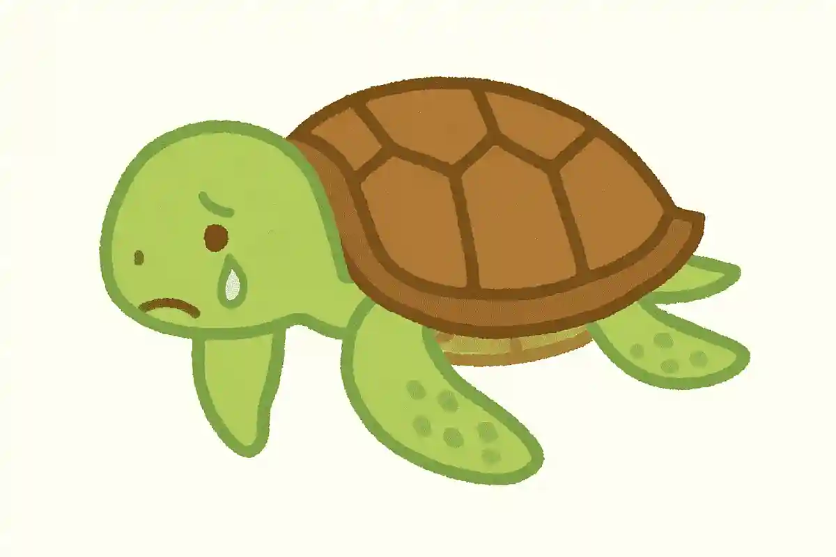 ウミガメは涙を流すことがあります。それはなぜでしょうか。