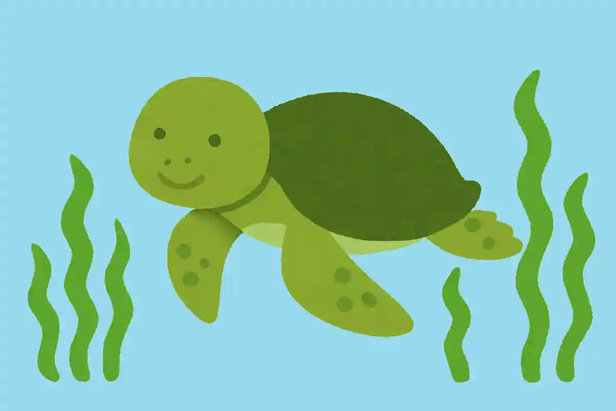 アオウミガメは主に何を食べて生きているでしょうか