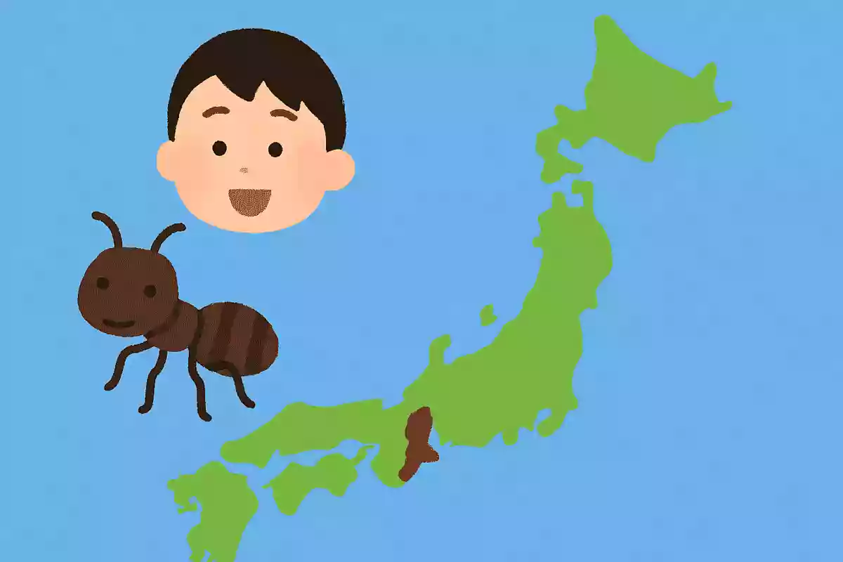 日本で最もたくさんの種類のアリが居る都道府県はどこでしょう?