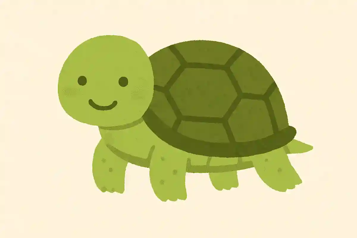 カメは肺だけではなく、他の体の一部分からも呼吸ができます。次のうちどれでしょう