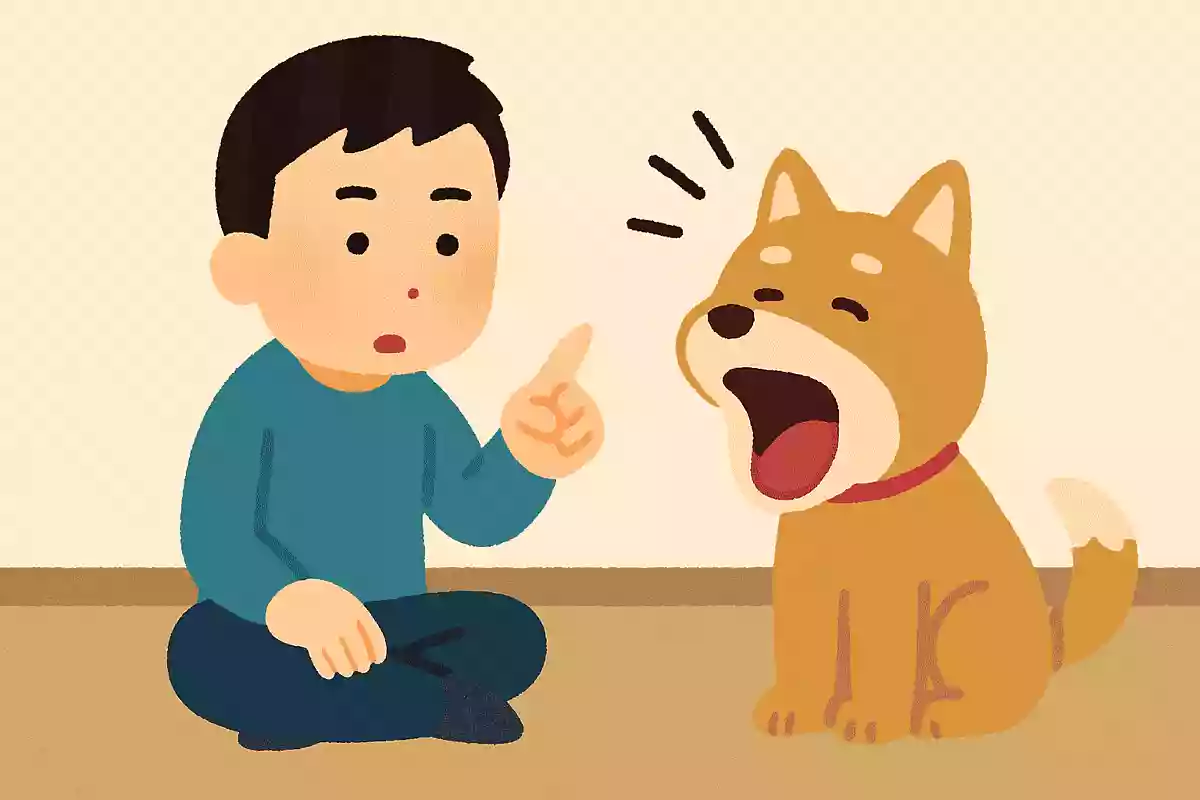 犬をしつけている時、真剣な話をしている時にあくびをするのはなぜ?