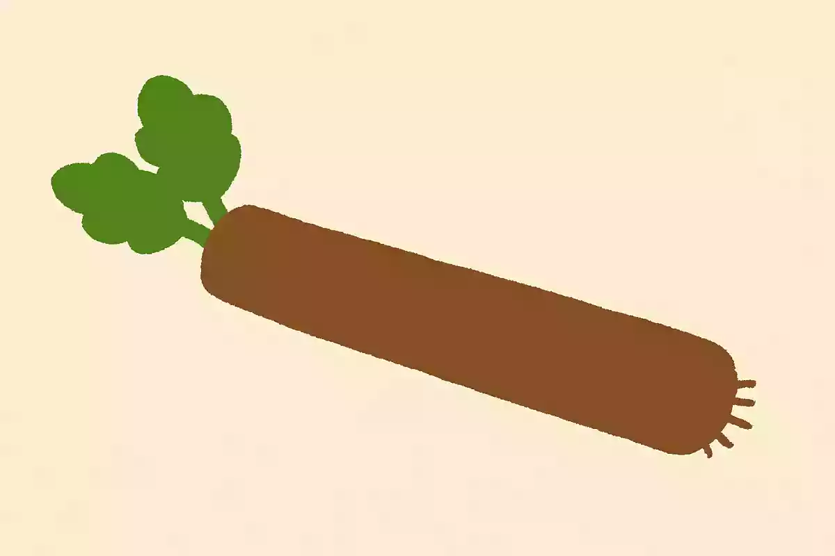 ごぼう