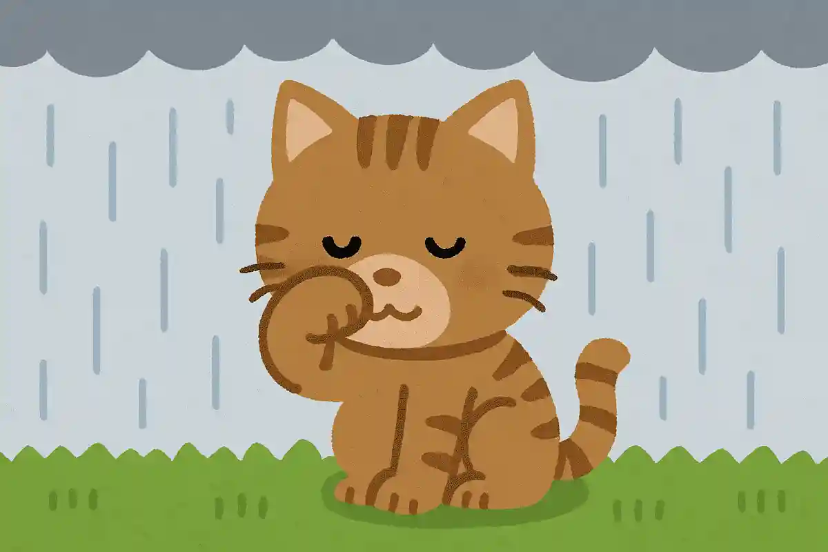 昔からある動物が「顔を洗うと雨が降る」と言われていますが、何の動物でしょうか？