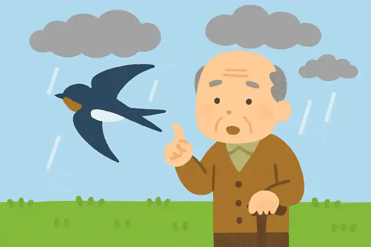 ある鳥が低く飛んでいると、雨になると言われています。ある鳥とは何でしょうか?