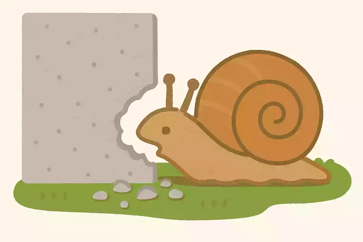 カタツムリはコンクリートも食べる