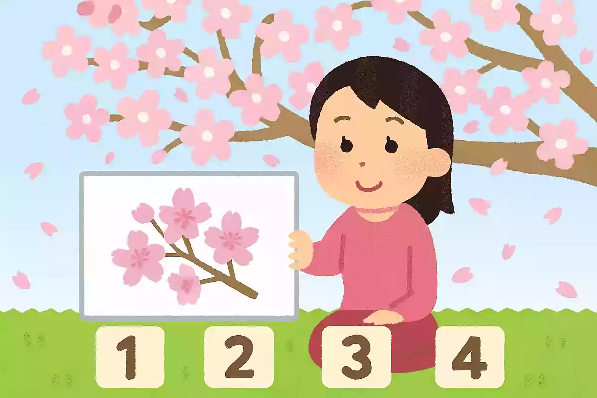 桜に関する雑学3択クイズ。お花見を倍楽しめるクイズ集