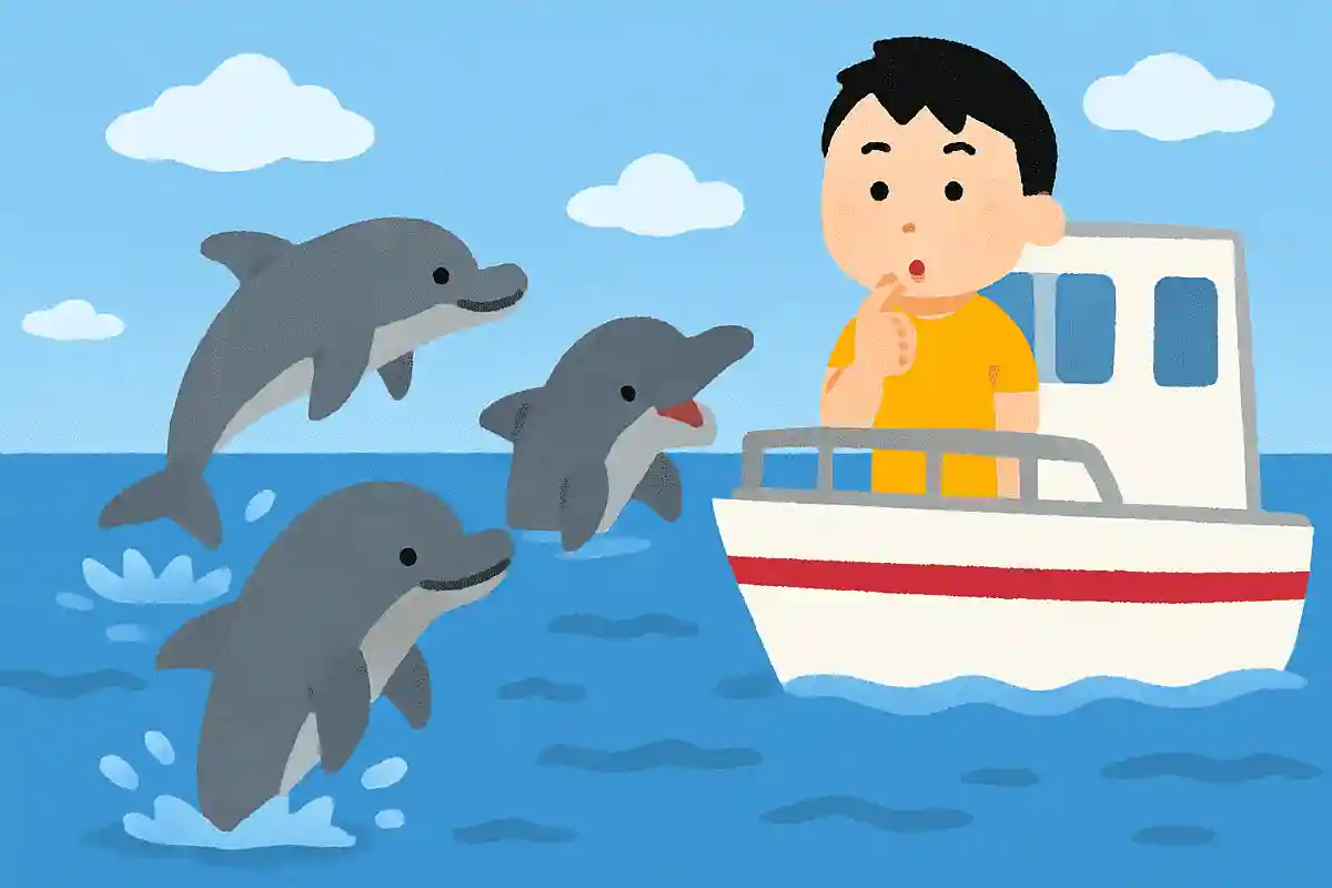 イルカが船のまわりに集まるのはなぜ?