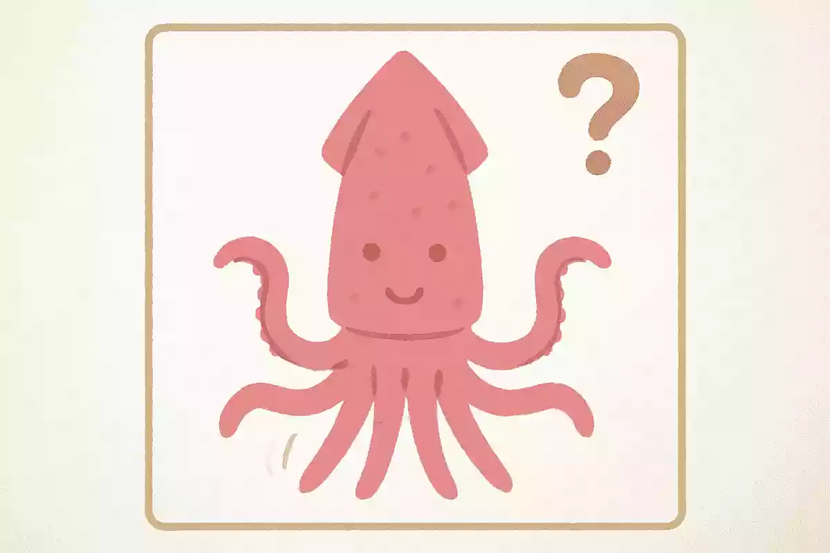 イカの足は何本あるでしょうか？