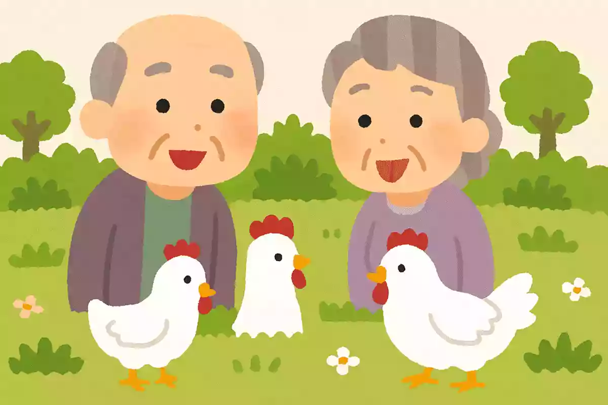 庭には二羽にわとりがいる