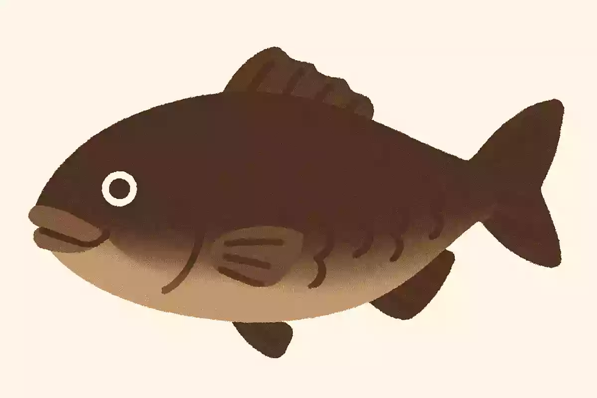 愛知県名古屋市の名物「ひつまぶし」に使われている魚は何でしょうか?