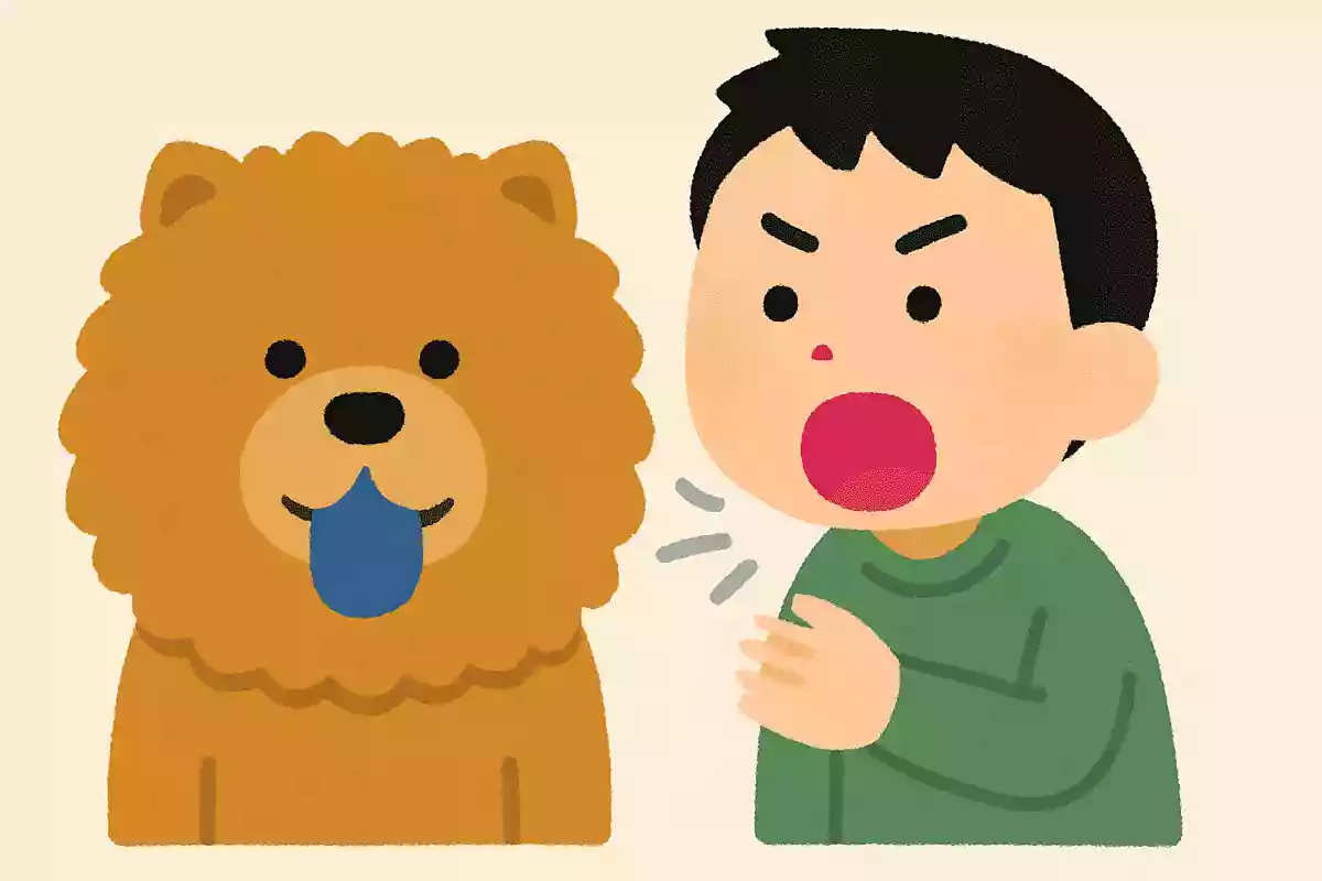 はよはよ言うけど、はよせなあかんのははよ言うあんたや