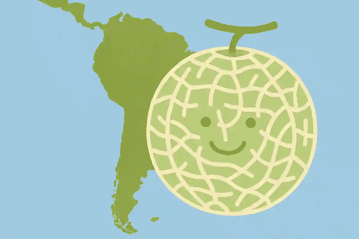 アンデスメロンはアンデス地方と無関係