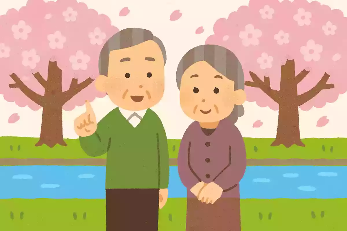 川沿いに桜が咲いているところが多いのはどうしてでしょうか?