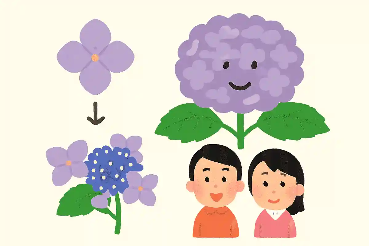 花びらに見えている部分は実は萼