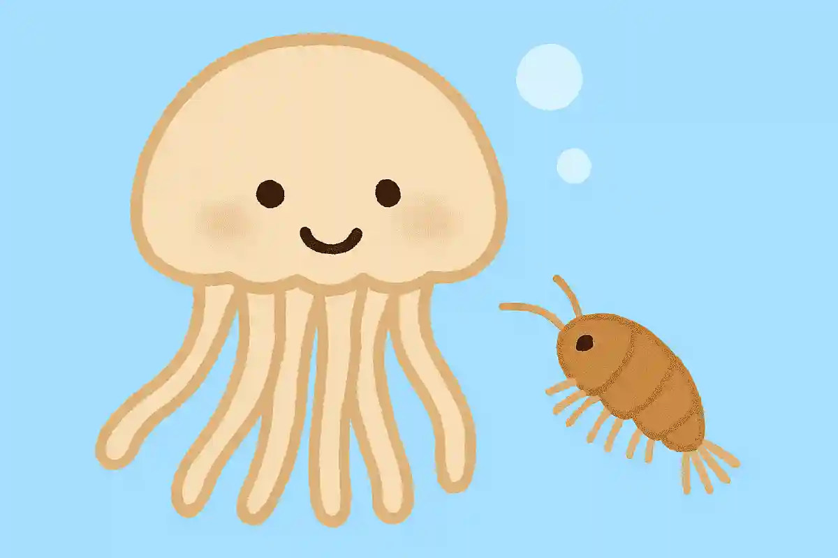 クラゲの主食は何？