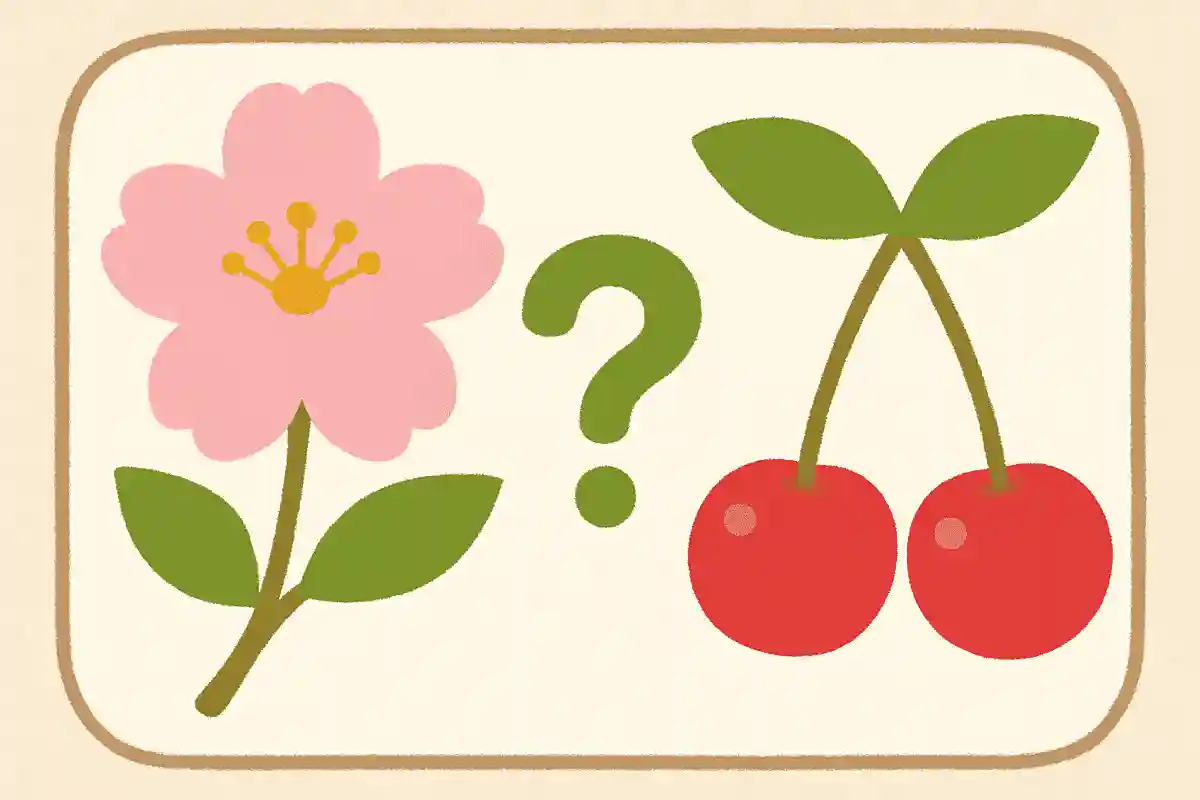 さくらんぼは何の花にできる実でしょうか