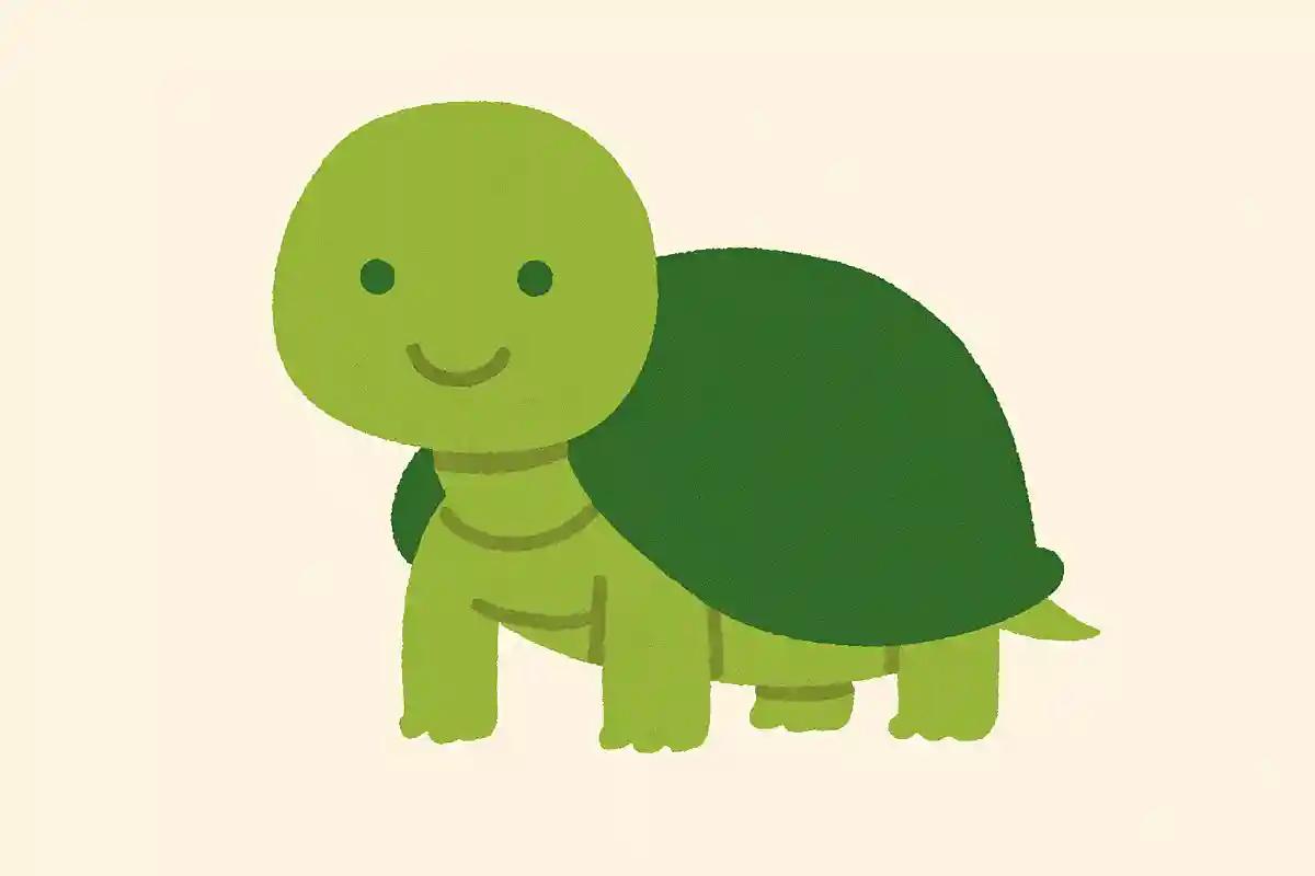 カメの歯は何本あるでしょうか