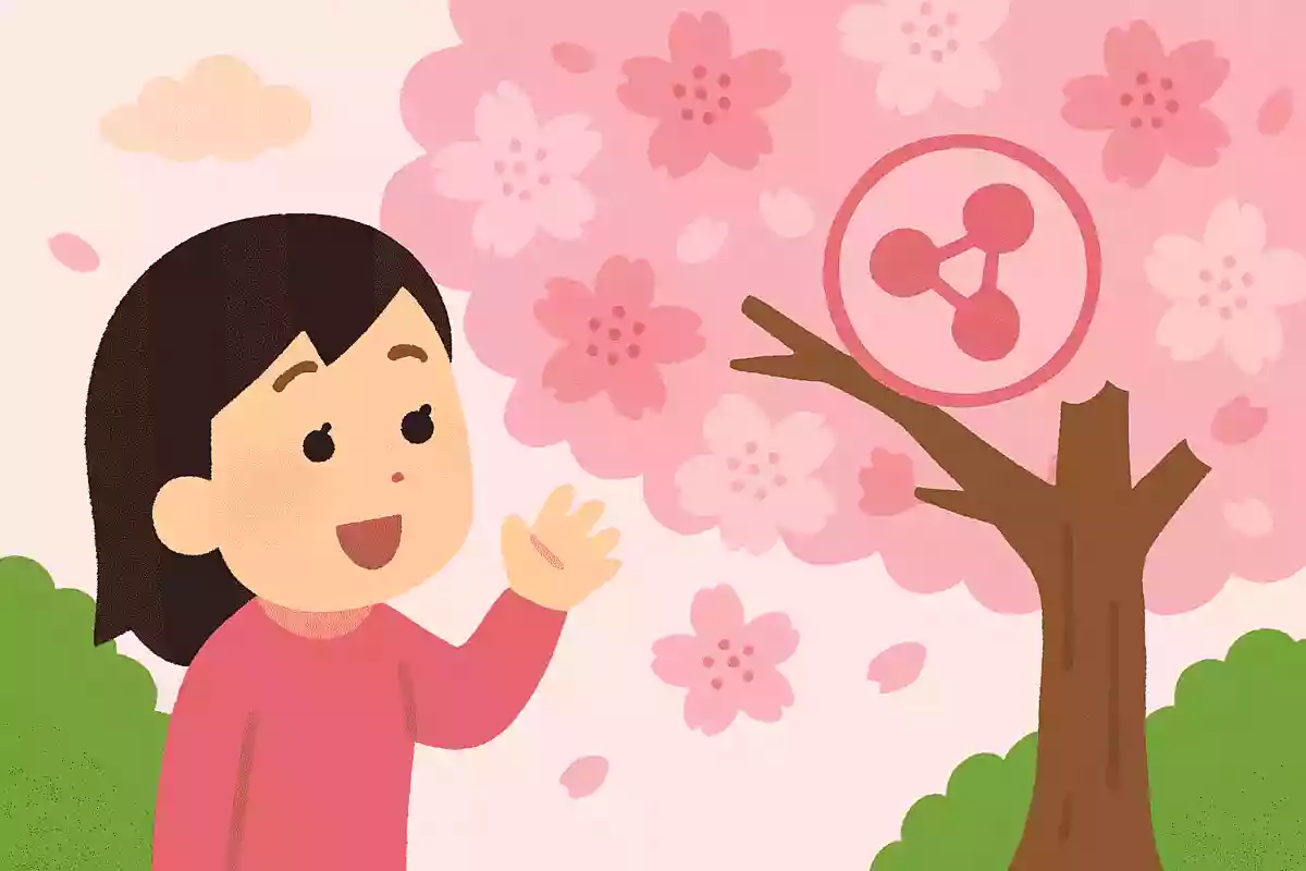 桜の花がピンク色の理由は、アントシアニンという色素成分が含まれているから