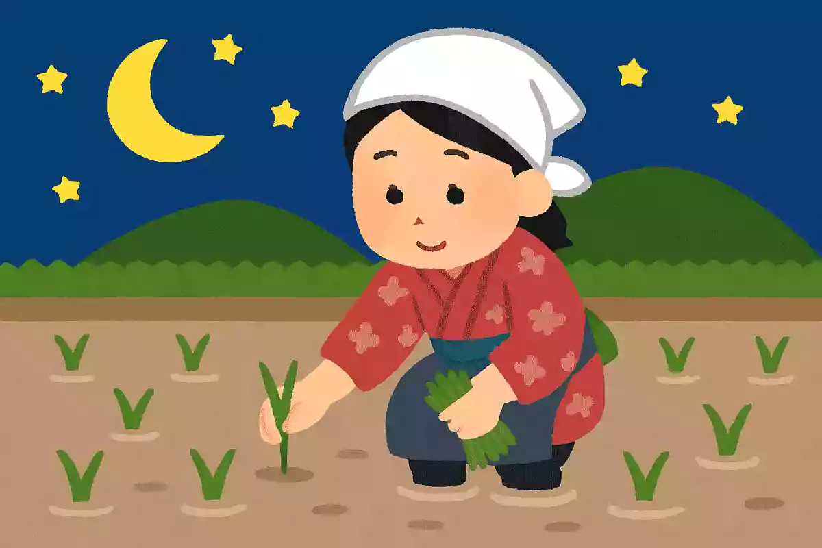 5月の旧暦「皐月」の由来