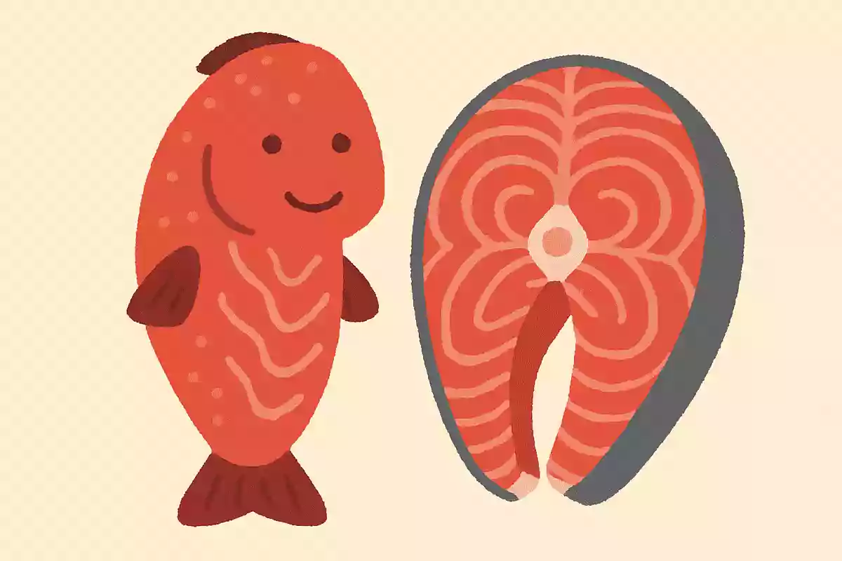 鮭は赤身の魚である