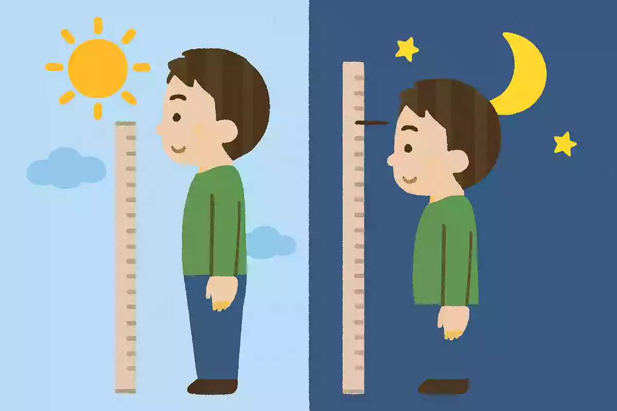 朝と夜で身長にはどのような変化があるでしょう？